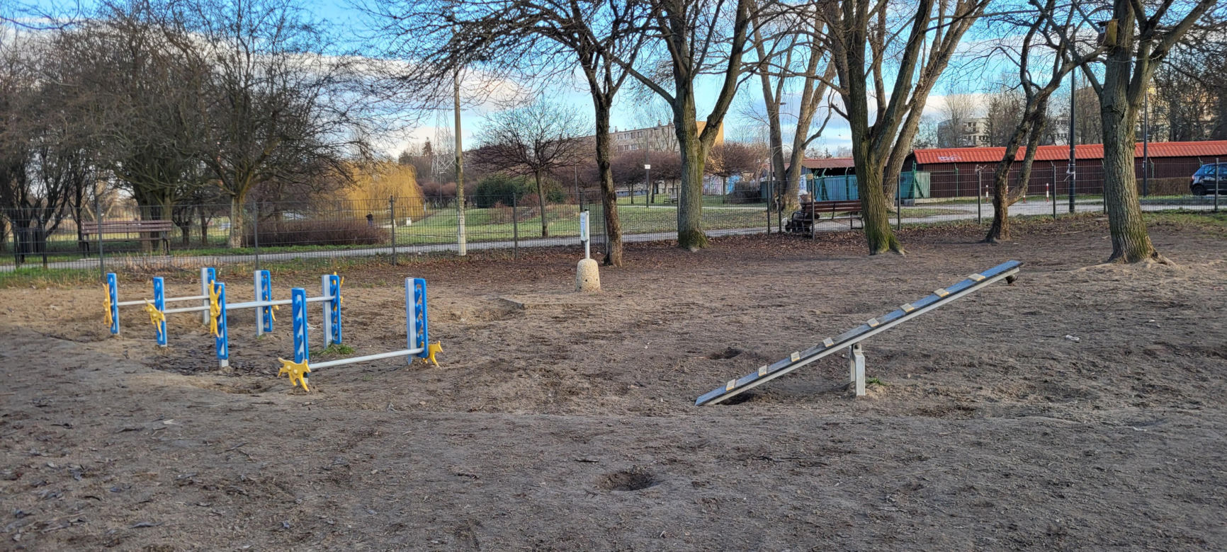 Psi park w Parku Podolskim w Łodzi