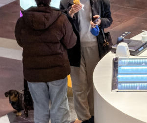 Sonia Bohosiewicz na lodach