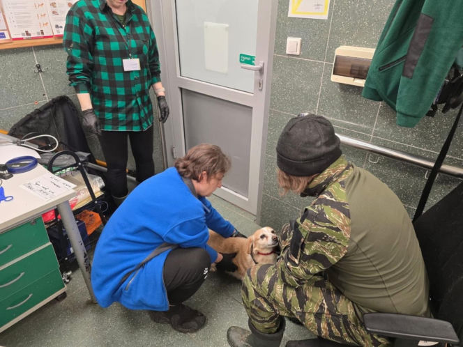 Akcja ratunkowa w likwidowanym schronisku Kocham Psisko w Mąkosach Nowych