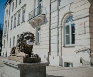 Koronawirus w Płocku. Nawet lwy noszą maseczki ochronne! [ZDJĘCIA]