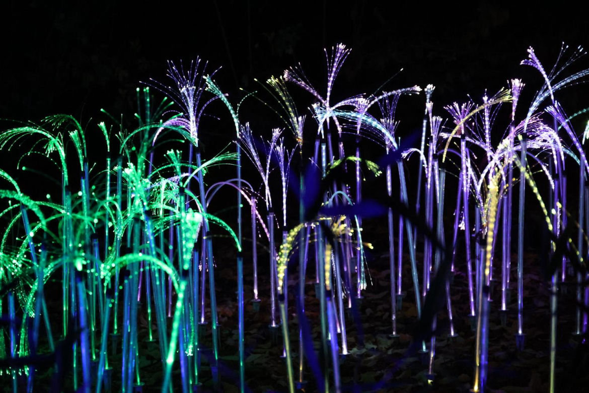 Lumina Park 2023 w Lublinie