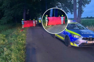 16-latek roztrzaskał się motocyklem na drzewie. Czerwony parawan w miejscu wypadku łamie serce