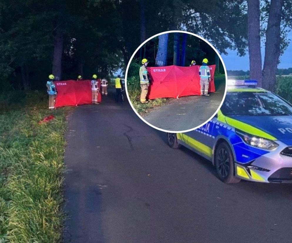 16-latek uderzył motocyklem w drzewo. Czerwony parawan zasłonił miejsce dramatu