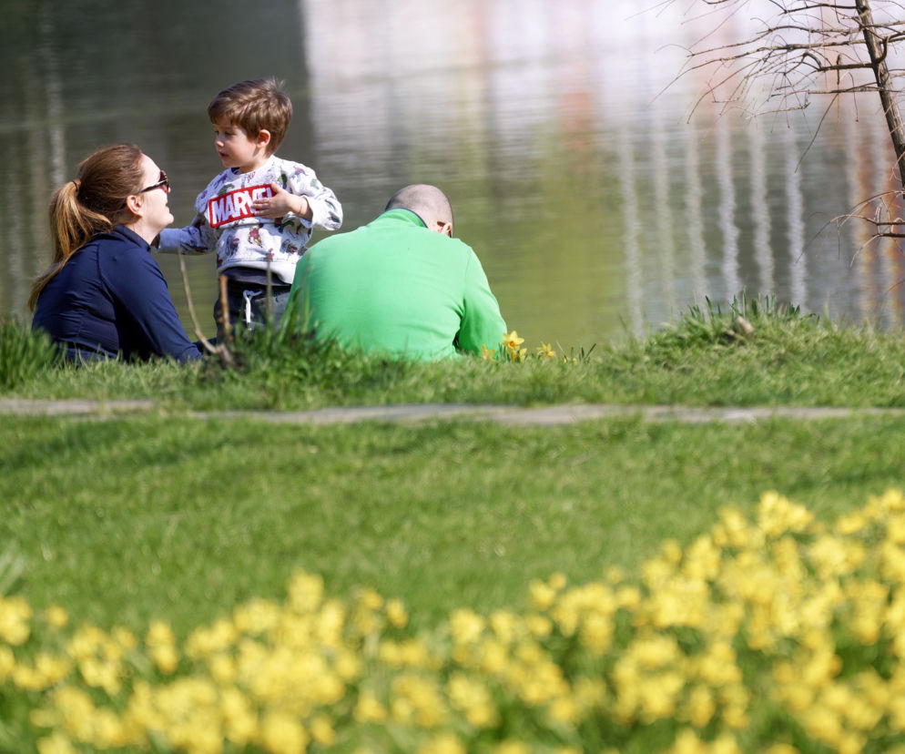 Spora zmiana pogody w Bydgoszczy? Pochmurny poranek i słoneczne popadnie 
