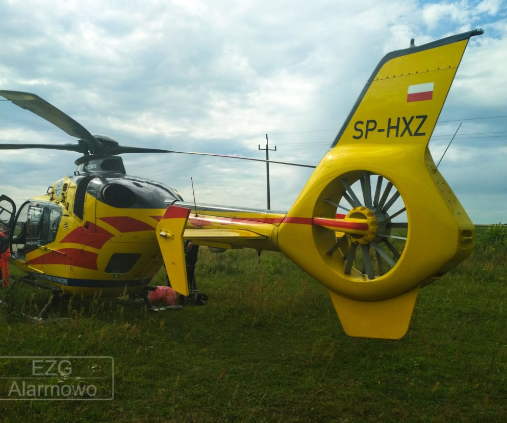 Koń stratował dżokejkę
