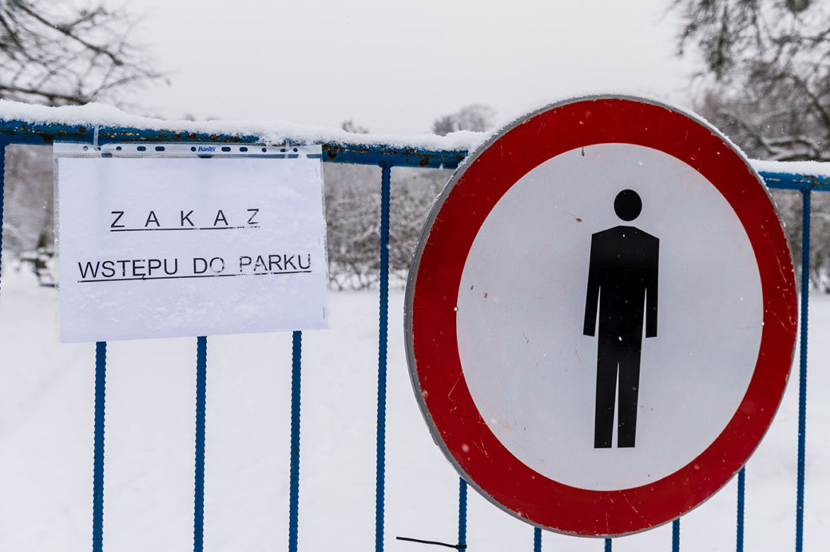 Ptasia grypa w parku w Wejherowie