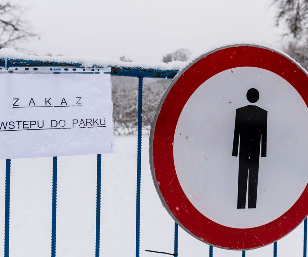 Ptasia grypa w parku w Wejherowie