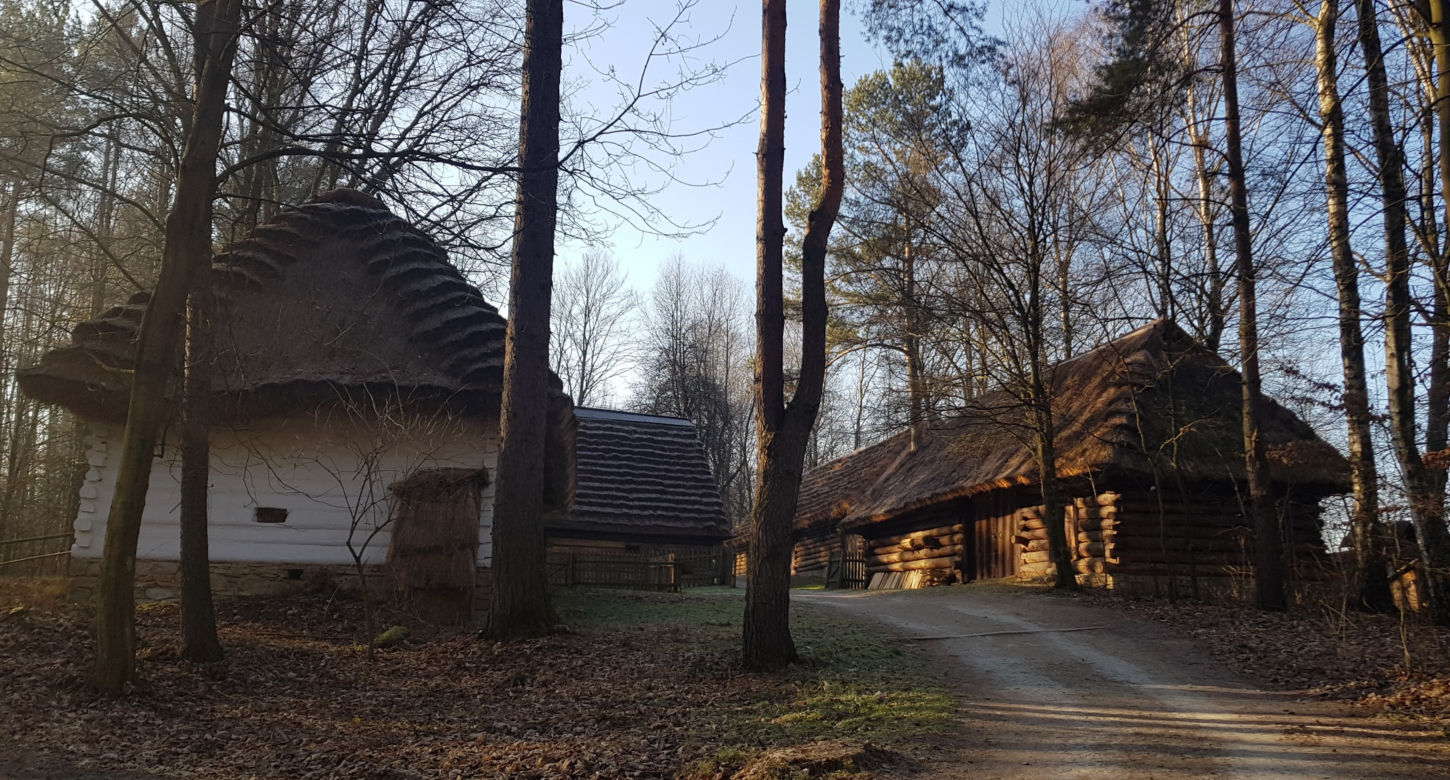 Bieg "Tropem Wilczym" ku chwale Żołnierzy Wyklętych