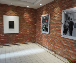 Biedronka w kinie Femina - 2026r.