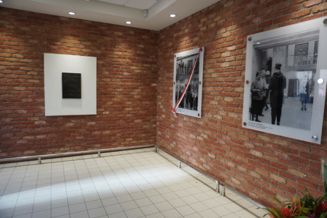 Biedronka w kinie Femina - 2026r.