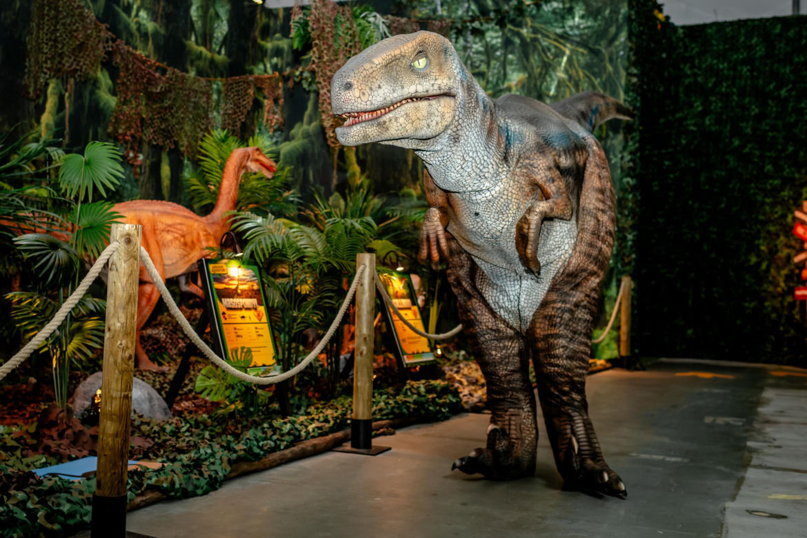 Wystawa "Jurassic Adventure" w Warszawie