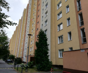 Nie śpię po nocach przez włochatego pająka