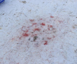 12-letni Dawid zjeżdżał z górki, nie żyje. Uderzył głową o ławkę