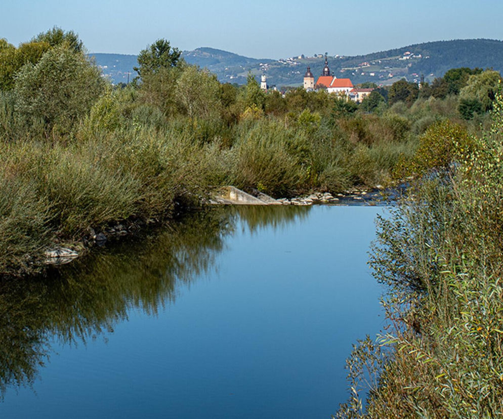 Susze hydrologiczne na terenie Nowego Sącza w odniesieniu do całego województwa