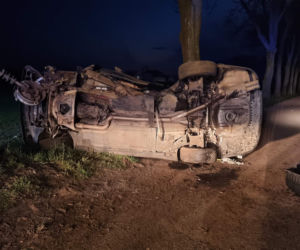Makabryczna śmierć pod Płockiem! BMW roztrzaskało się o drzewo [ZDJĘCIA]