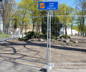 Od dziś otwarte lasy i parki. Ale parki Heermanna i Jonstona wciąż ogrodzone