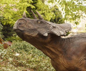 Dinozaury opanowały wrocławski ogród botaniczny