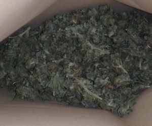 Amfetamina i marihuana w posiadaniu 36-latka