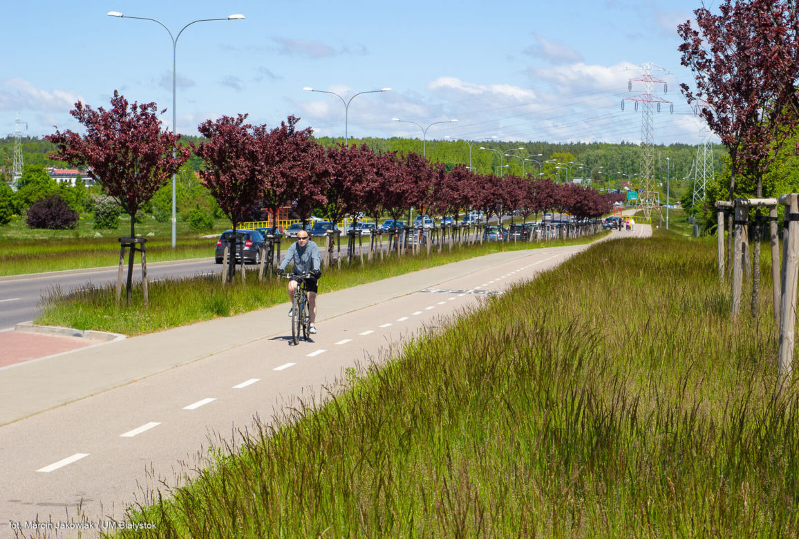 Miasto z Klimatem. Białystok zwyciężył w ogólnopolskim konkursie [ZDJECIA]