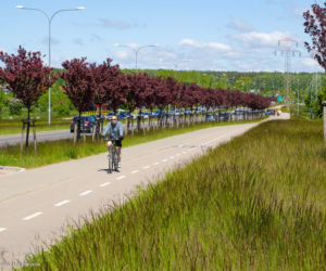 Miasto z Klimatem. Białystok zwyciężył w ogólnopolskim konkursie [ZDJECIA]