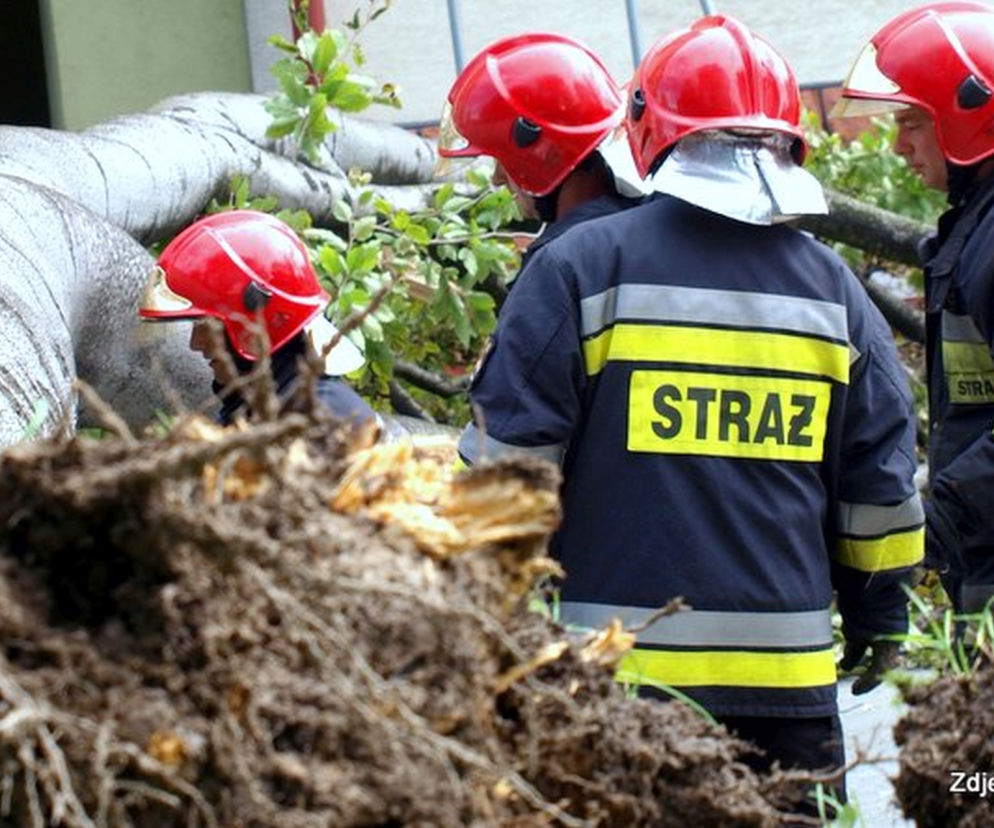 Wietrzna noc na Podkarpaciu, strażacy interweniowali kilkadziesiąt razy