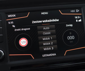 Cupra Ateca 2.0 TSI 300 KM 4Drive DSG7