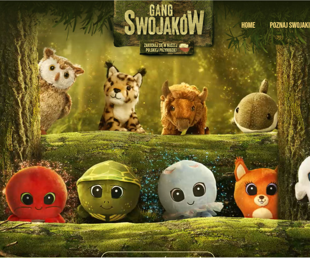Gang Swojaków w Biedronce 
