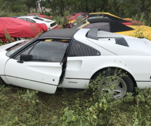 11 klasycznych Ferrari porzuconych w polu