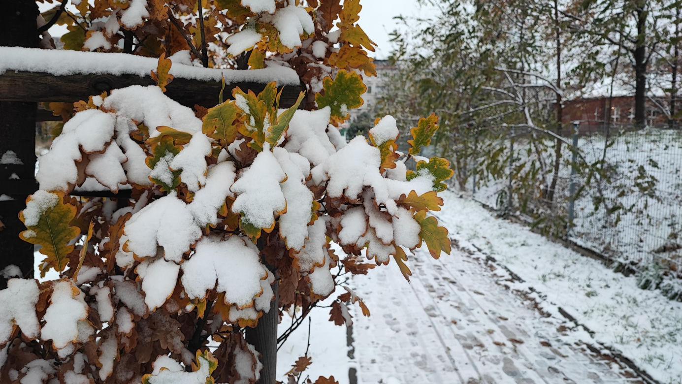Wrocław pod śniegiem. Trudne warunki na drogach, korki, opóźnienia i awarie