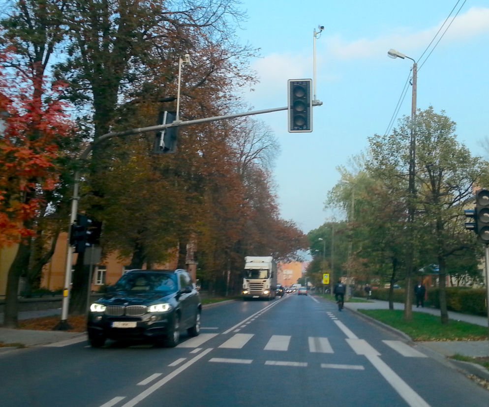Światła na ulicy Nowy Świat stanęły na przejściu dla pieszych przy WOMP