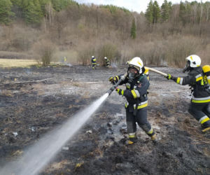 Maszkowice. MAKABRYCZNE skutki wypalania traw. Zwierzak zginął w strasznych męczarniach
