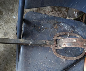 Rolnik z Podlasia bronił swojego bydła. Gdyby nie brat, to by mnie tam zatłukli