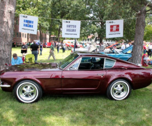 Ford Mustang Shorty