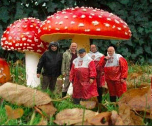 Jarosław Kaczyński w patriotycznej pelerynie MEMY
