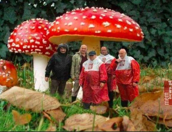 Jarosław Kaczyński w patriotycznej pelerynie MEMY