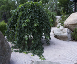 Ogród w stylu japońskim