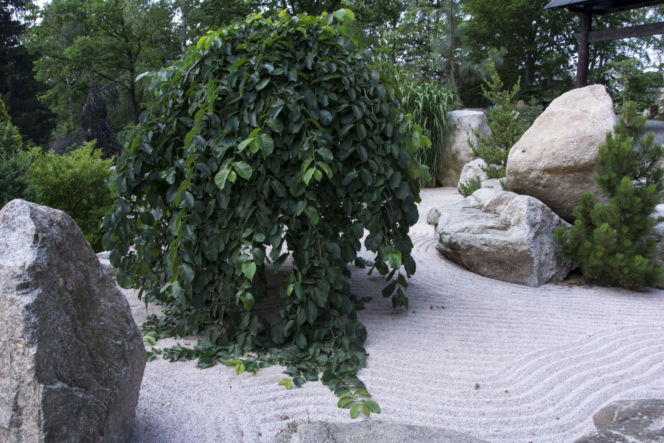 Ogród w stylu japońskim