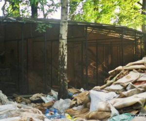 Zabezpieczanie zoo przed powodzią w 1997 roku
