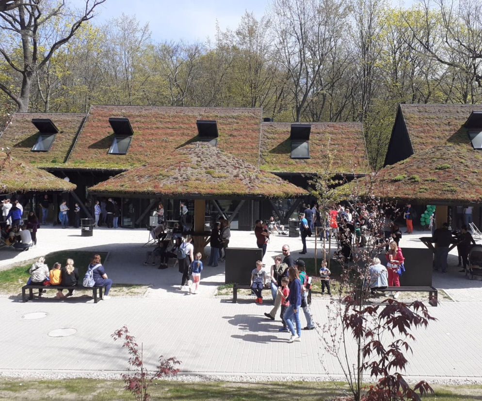 Tłumy w łódzkim Orientarium!