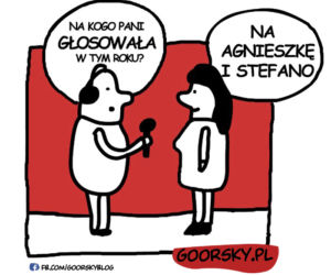 Wybory parlamentarne 2015 [MEMY]
