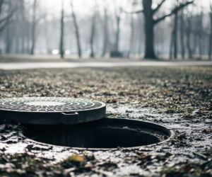 Spalone zwłoki w studzience. Czy matka i syn odpowiedzą za okrutne zabójstwo?