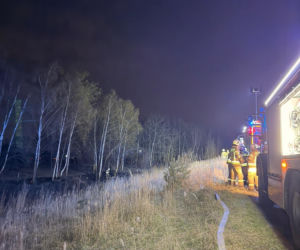 Pożar objął powierzchnię około 11 hektarów nieużytków