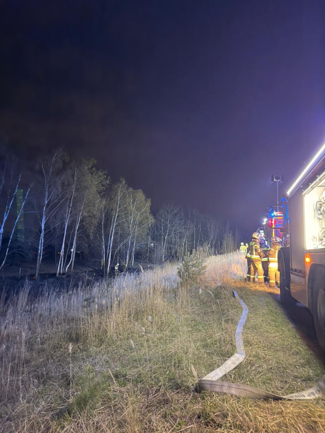 Pożar objął powierzchnię około 11 hektarów nieużytków