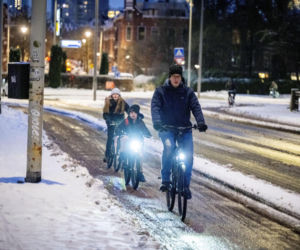 Atak zimy w Holandii