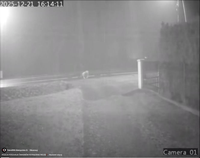 Dramat pod Krakowem. Seniorka czołgała się po jezdni, minęło ją kilkanaście samochodów