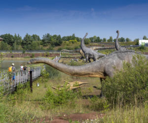 JuraPark Krasiejów