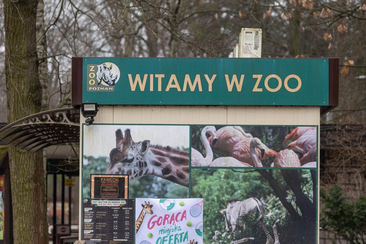 Zatrzymanie Ewy Z. - dyrektorki zoo w Poznaniu