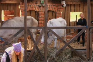 Farma, sezon 5, odcinek 12