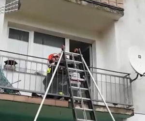 Wysoka: Przyjechał na sygnale do ukochanej. Wszedł na balkon i padł na kolana [WIDEO]