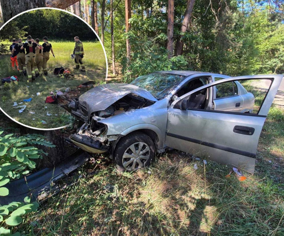 Wypadek w gminie Czosnów. 4-latka walczy o życie po uderzeniu w drzewo